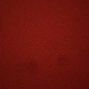 Meet your Posher, Tya